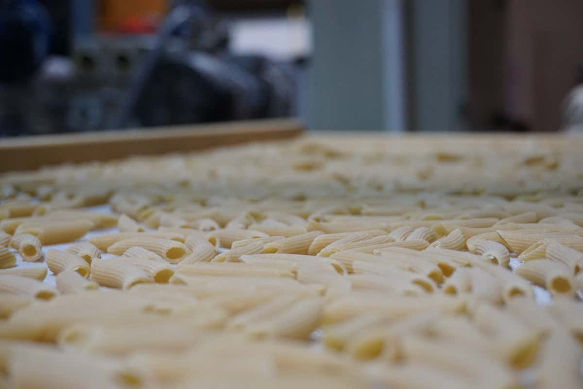 La pasta di Floriddia in essicazione Floriddia dove le farine diventano un'eccellenza