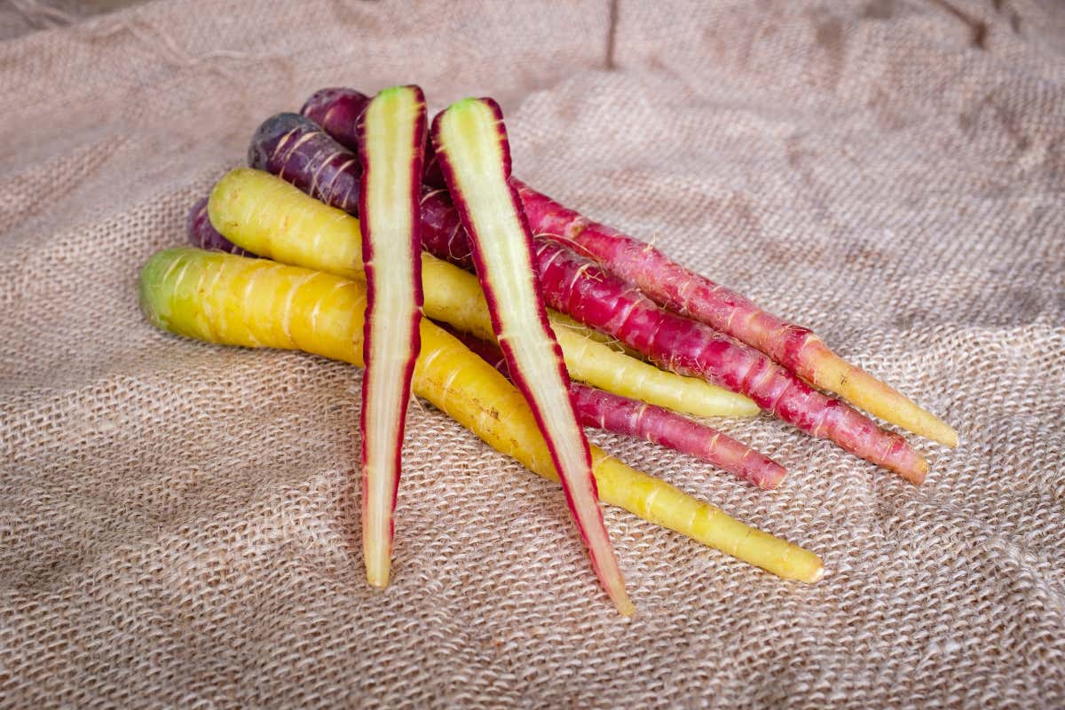 Pasticceria: con frutta o alternative salutari, ecco i dolci protagonisti dell'estate