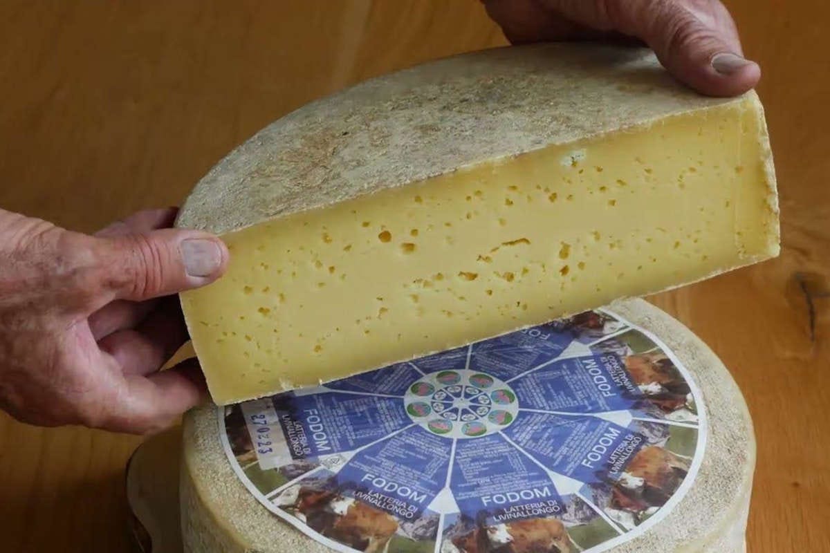 il formaggio Fodom (foto Youtube) Fodóm il formaggio del Col di Lana diventa presidio Slow Food