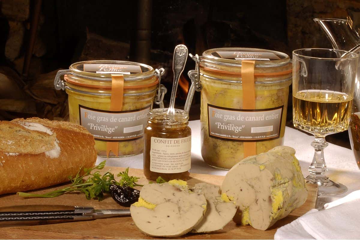 Svizzera, animalisti in rivolta contro il foie gras: si andrà al voto Svizzera, animalisti in rivolta contro il foie gras: si andrà al voto