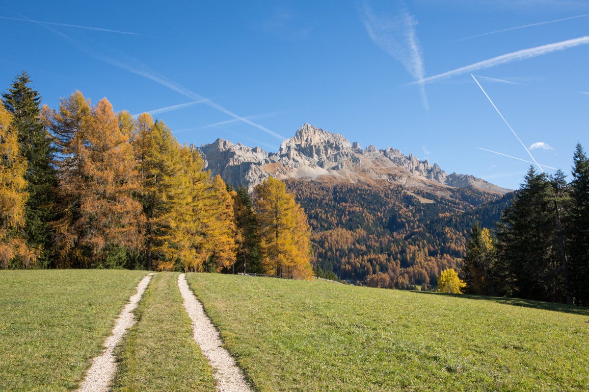 Foliage in Val D'Ega  Tartufi, porcini e foliage: ecco le mete perfette per il prossimo autunno