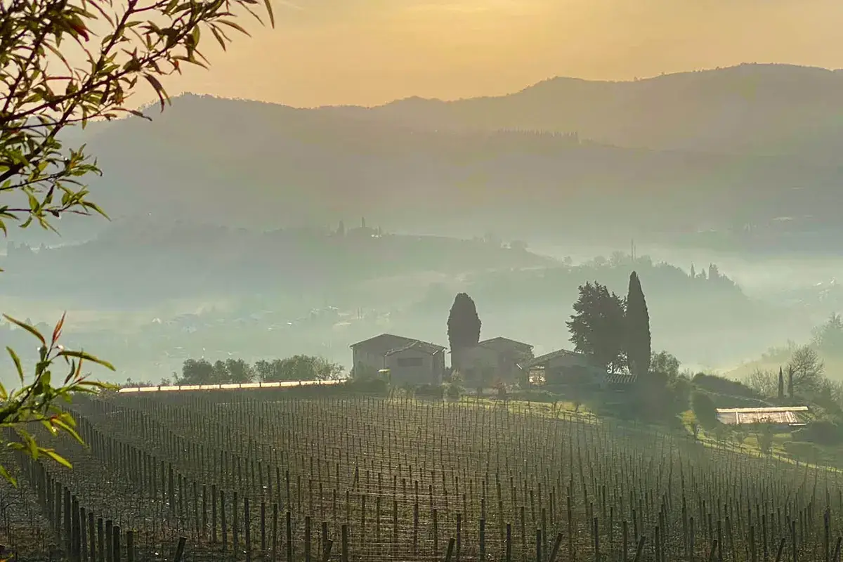 Tenute del Cabreo Vino, ma ora anche ristorazione (e un libro di ricette): i Folonari, un vulcano di accoglienza