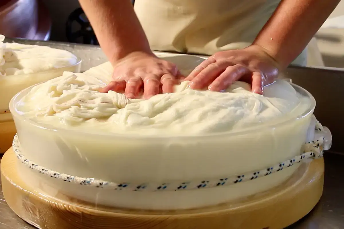 Fontina Dop, l'interpretazione di sette grandi chef per FontinaMI