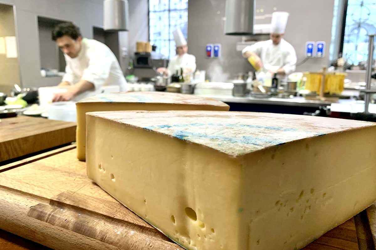 La Fontina Dop nella cucina di Daniel Canzian FontinaMi porta in 10 ristoranti milanesi il gusto dell&rsquo;alpeggio valdostano