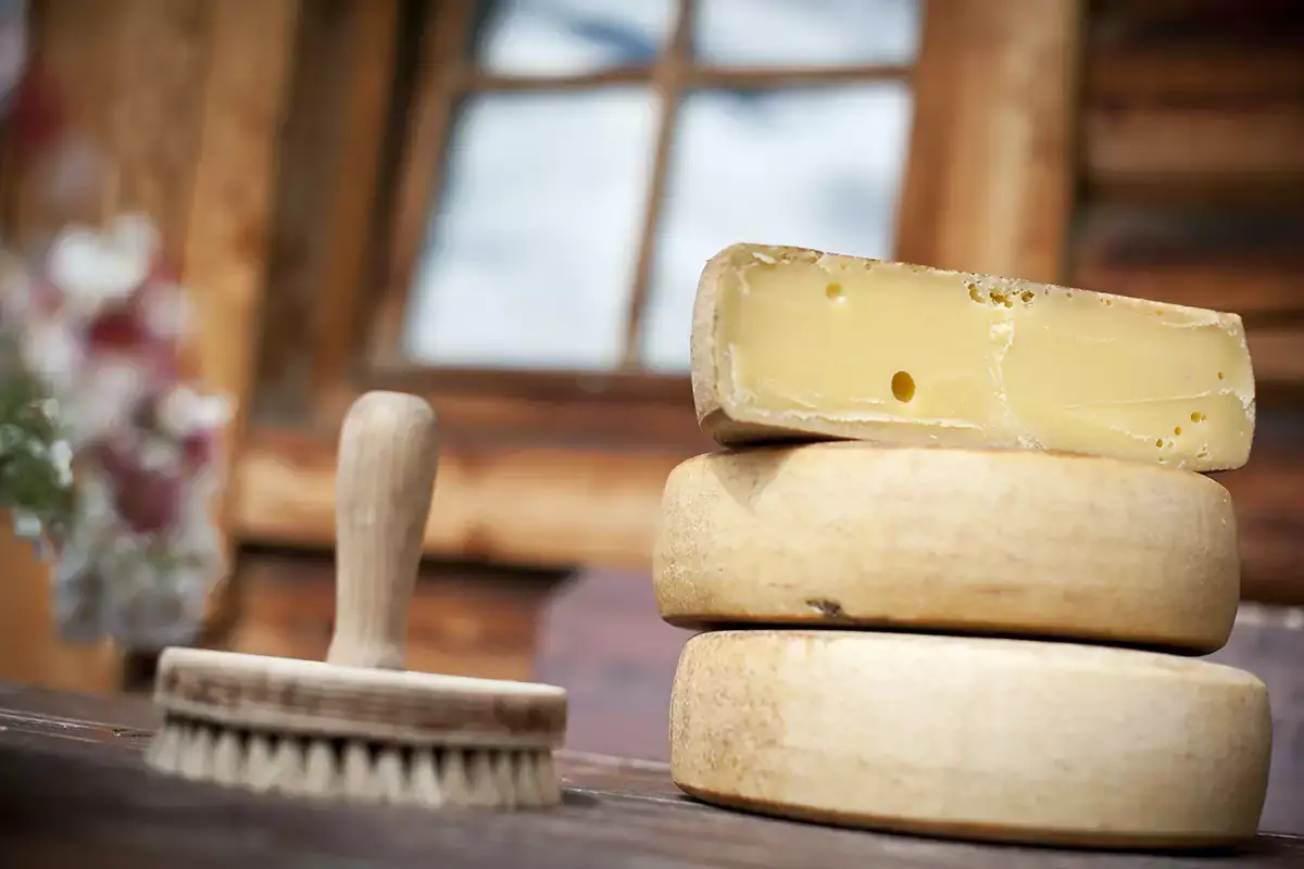 Il fascino della malga si esprime anche attraverso la produzione casearia Al via la stagione invernale nel comprensorio Gitschberg-Jochtal