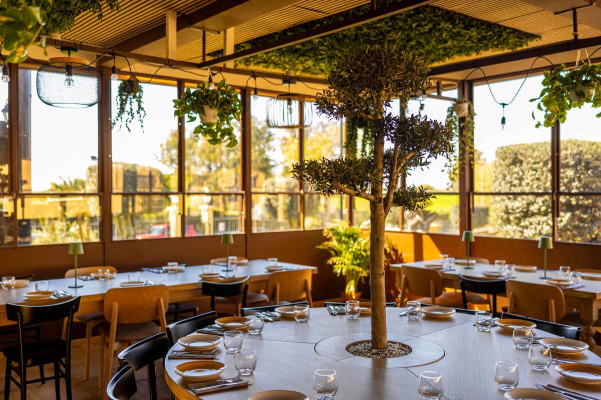 “I Massimi” a Roma: la nuova pizzeria immersa nel verde della Riserva Naturale