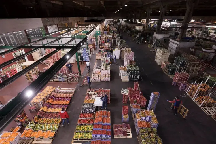 Il futuro prossimo del Mercato agroalimentare di Milano: competere con quelli europei