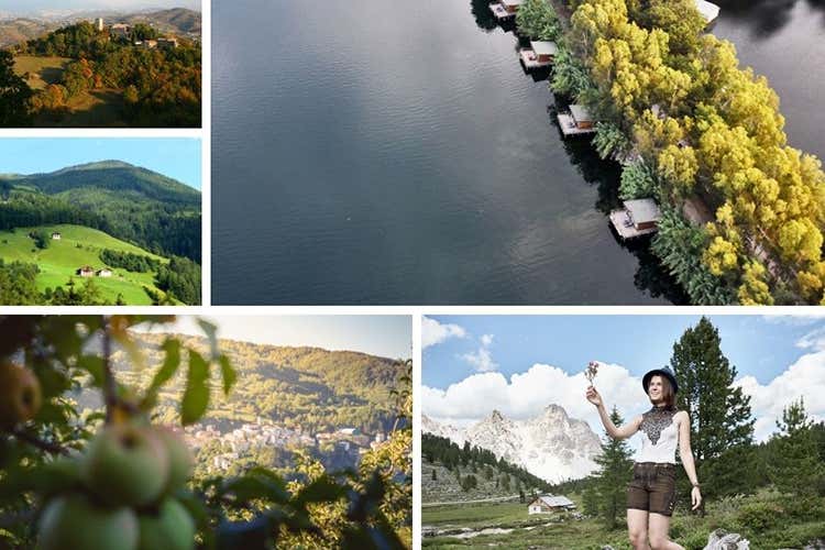 Alcune idee per immergersi nella natura - Dove praticare Forest Bathing? Cinque idee per rigenerarsi