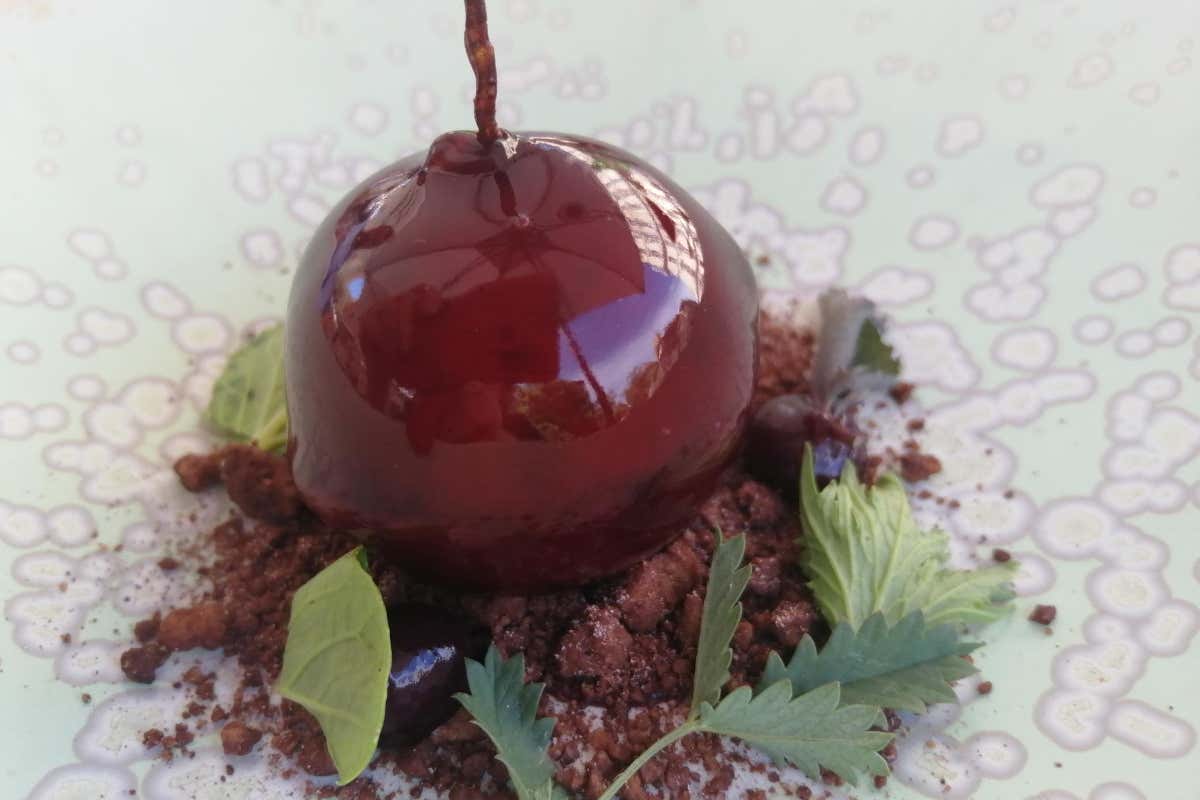 La Genisia: un connubio perfetto tra vino, cibo e natura nell'Oltrepò pavese