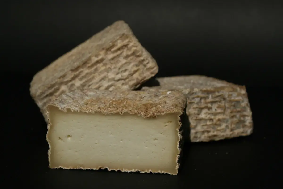 Caciotta Massaggiata di Amaseno Con Formaticum Roma è diventata la capitale del formaggio