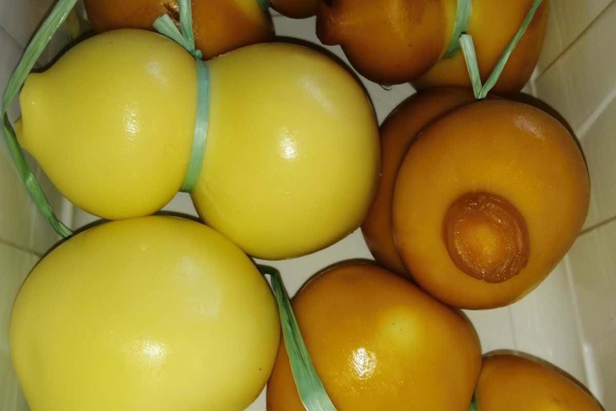 Con Formaticum Roma è diventata la capitale del formaggio