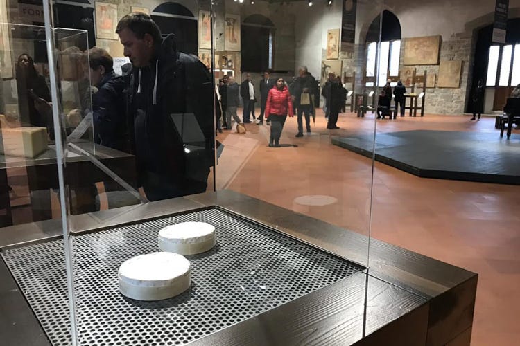 Forme sotto teca al Palazzo della Ragione di Bergamo (Formaggi, in mostra a Bergamoi 31 campioni del mondo)