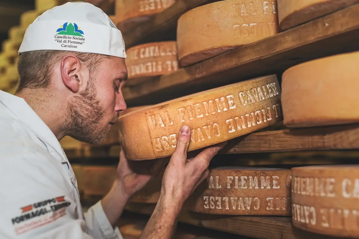 Formaggi tipici Val di Fiemme, spa a cielo aperto dove la sostenibilità è di casa