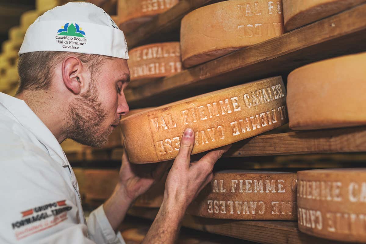 Formaggi tipici Val di Fiemme, spa a cielo aperto dove la sostenibilità è di casa