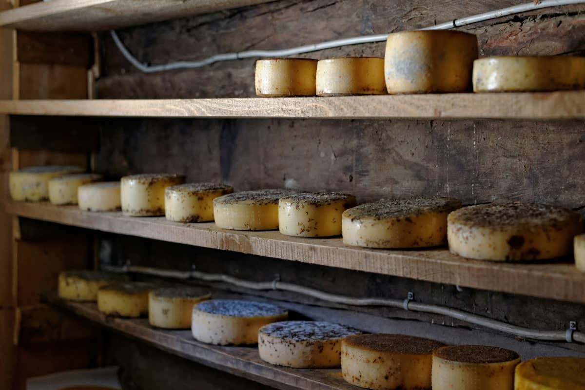 La ristorazione punta sui formaggi: finalmente una carta dedicata?