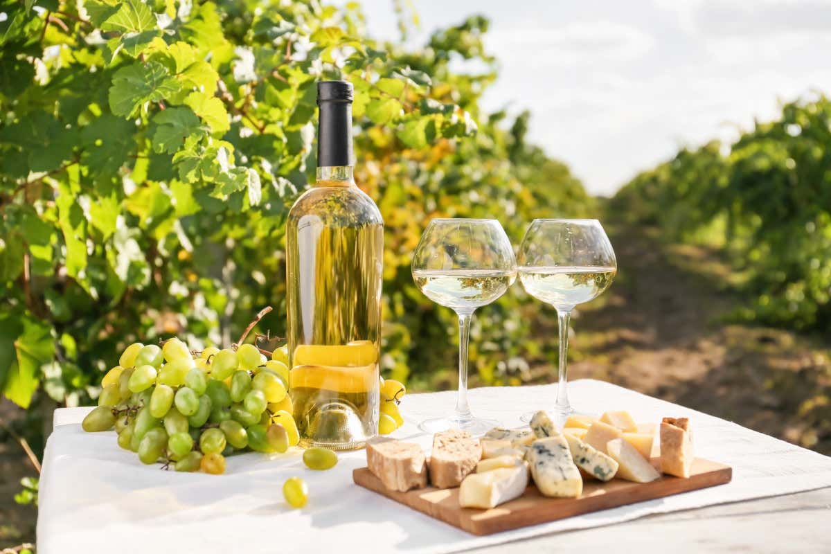 Formaggi Dop e vini bianchi: ecco alcuni abbinamenti da servire a tavola