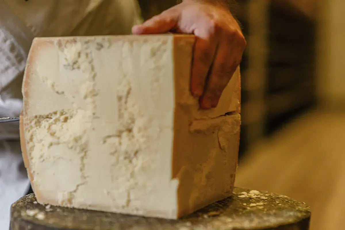 Dopo 4 anni di lavoro, in arrivo il software per una produzione sostenibile del formaggio Dop Produzioni sempre pi&ugrave; sostenibili grazie allo studio promosso da Grana Padano Dop