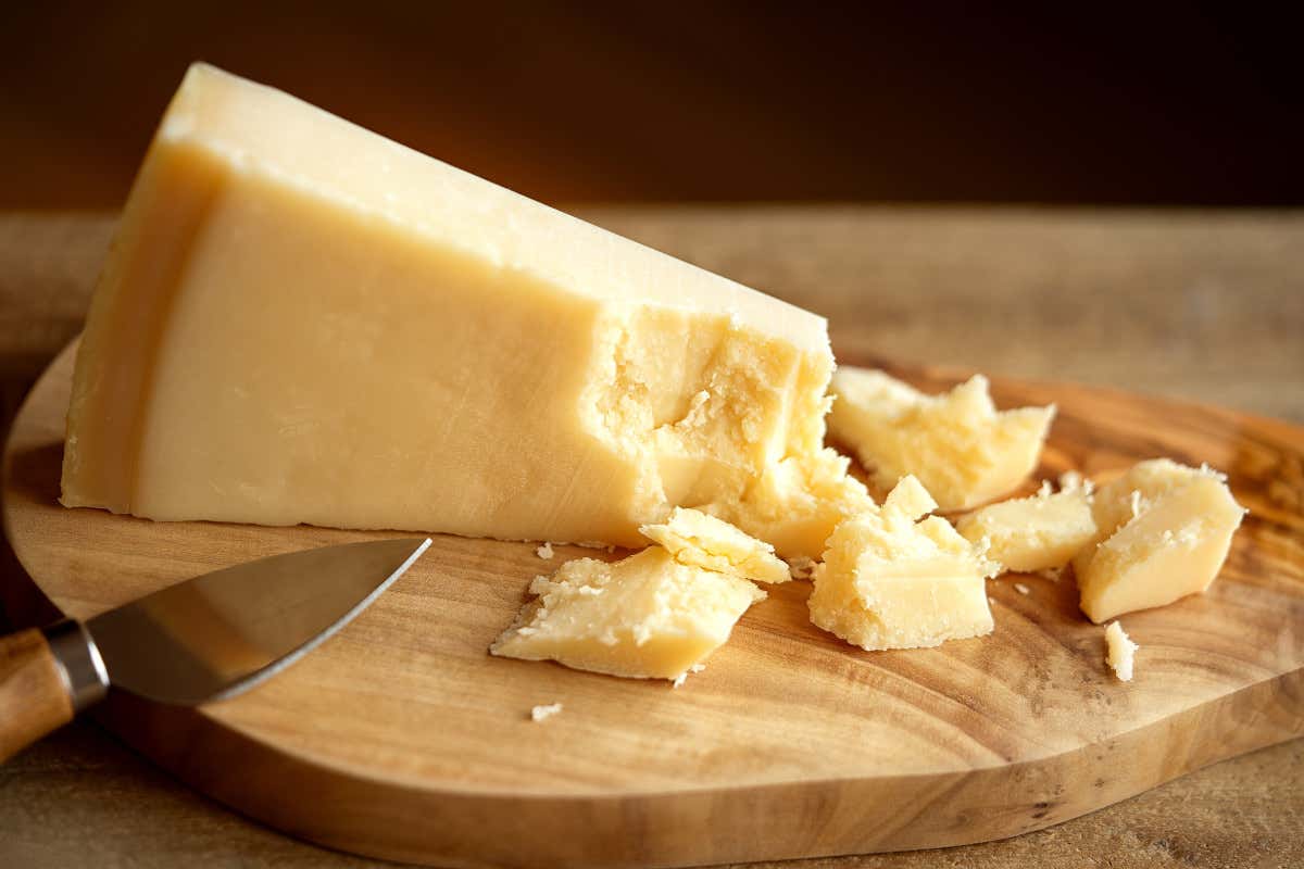 Un comparto in movimento: export ai massimi e Dop al centro della scena Comparto lattiero-caseario: export da record e formaggi Dop sempre più centrali