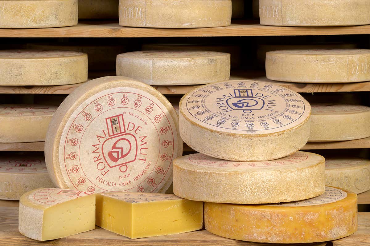 Dal fondovalle all’alpeggio: il viaggio del Formai de Mut dell’Alta Valle Brembana Dop