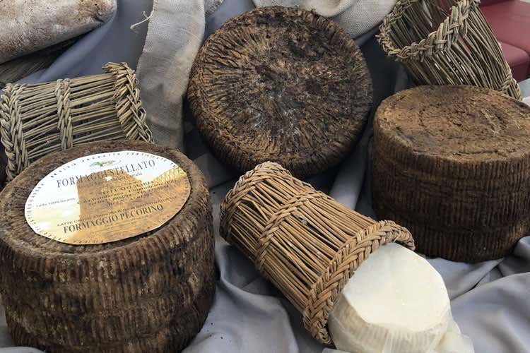 Forme di pecorino (Segreti e sapori dei formaggi rari A Roma una mostra-mercato)