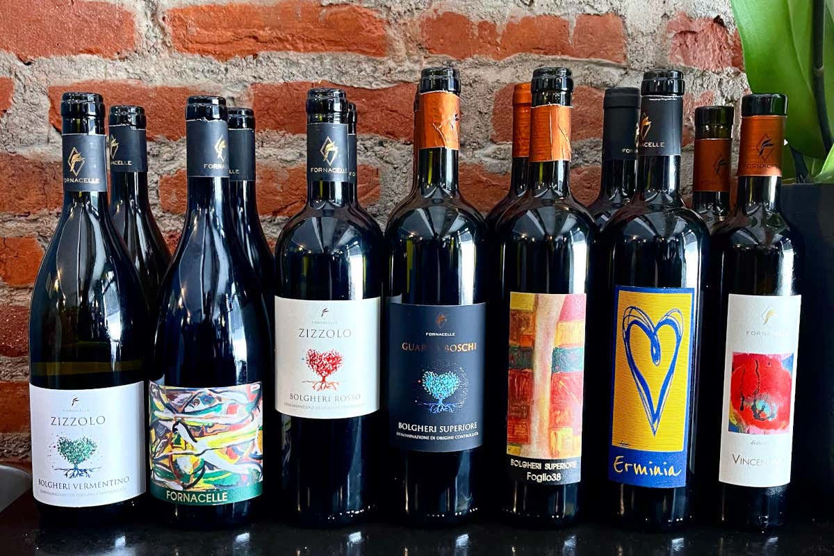 Vini Bolgheri in degustazione  Bolgheri DiVino, la celebrazione di un territorio unico