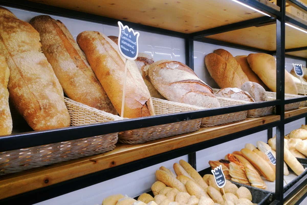 Pizza e pane come da tradizione. Il forno di Domi, laboratorio di idee