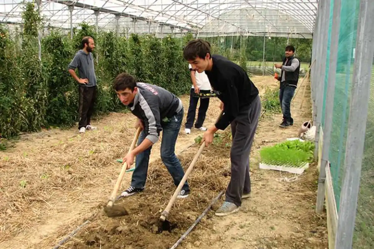 Alcuni dei ragazzi delle comunit&agrave; al lavoro nelle serre Ragazzi fragili e agricoltura bio Tutti protetti dentro Forte Rossarol