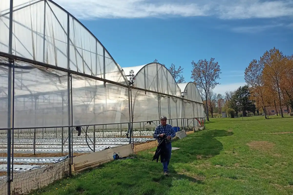 Le serre per l'agricoltura biologica Ragazzi fragili e agricoltura bio Tutti protetti dentro Forte Rossarol