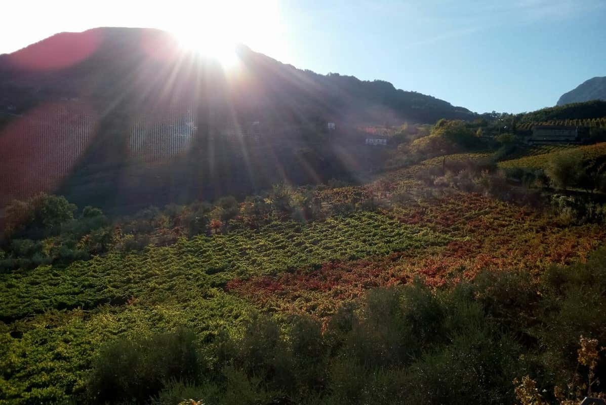I colori dei vigneti La Fortezza, la linea Premium del Sannio destinata a conquistare il mercato italiano