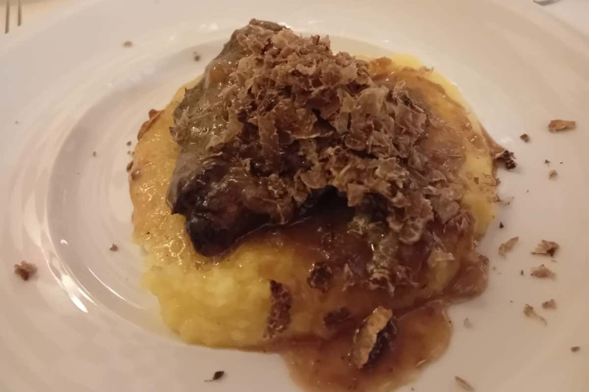 Tartufo Terre Ferraresi tutto l'anno: il nuovo brand del tartufo emiliano si presenta