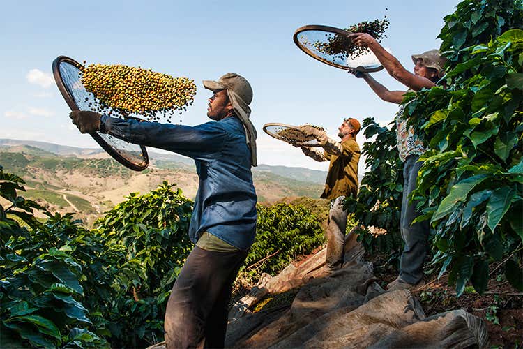 Foto di Steve McCurrry per il progetto ¡Tierra! di Lavazza Foto di Steve McCurrry per il progetto ¡Tierra! di Lavazza