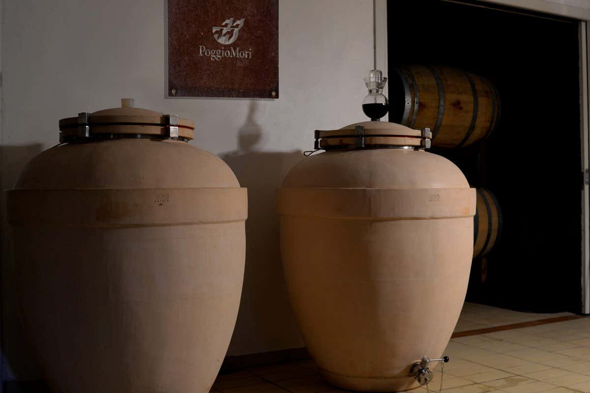 £$I Maestri raccontano...$£ Poggio Mori, vini e ospitalità tra tradizione e innovazione