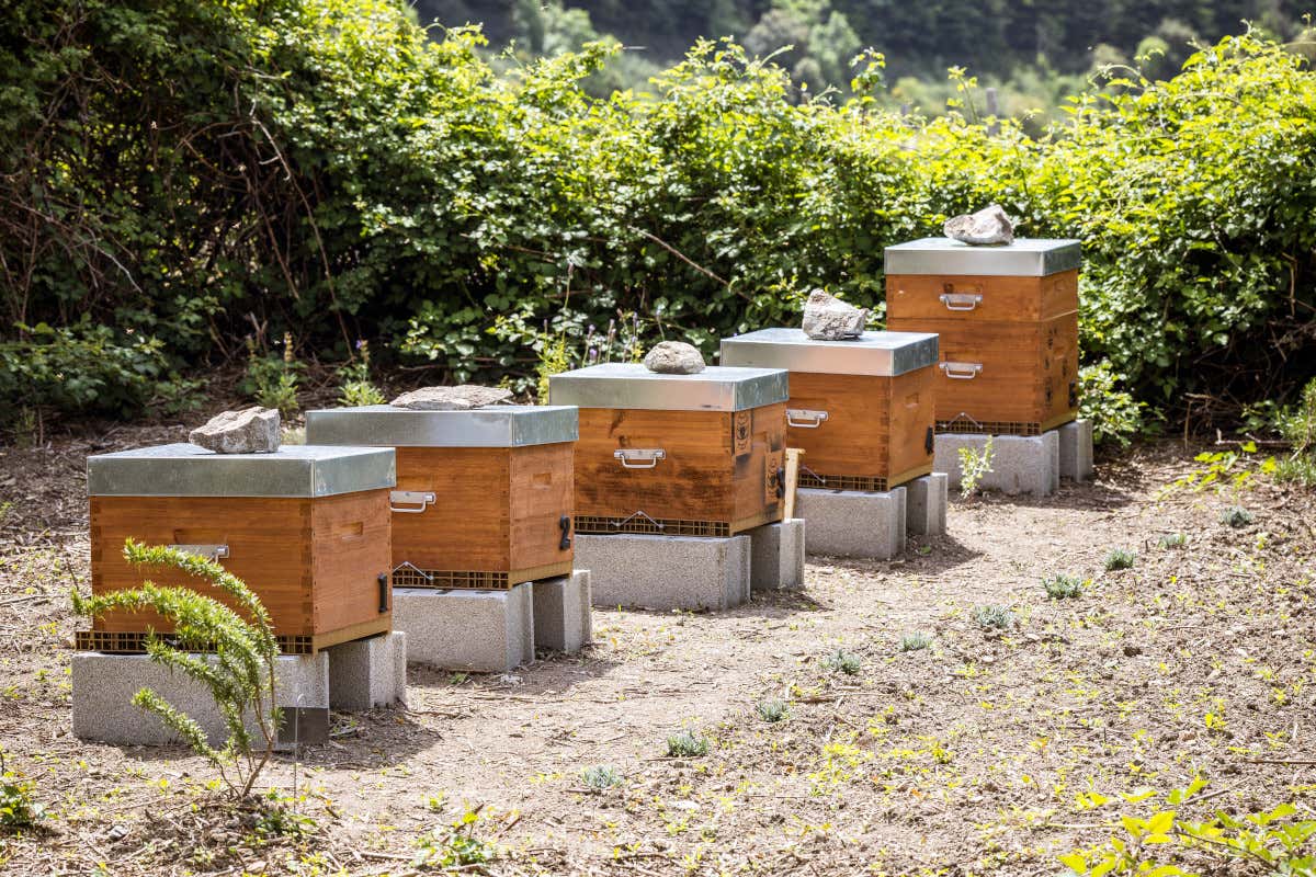 Relais & Châteaux e Unesco: la cucina che protegge biodiversità e cultura