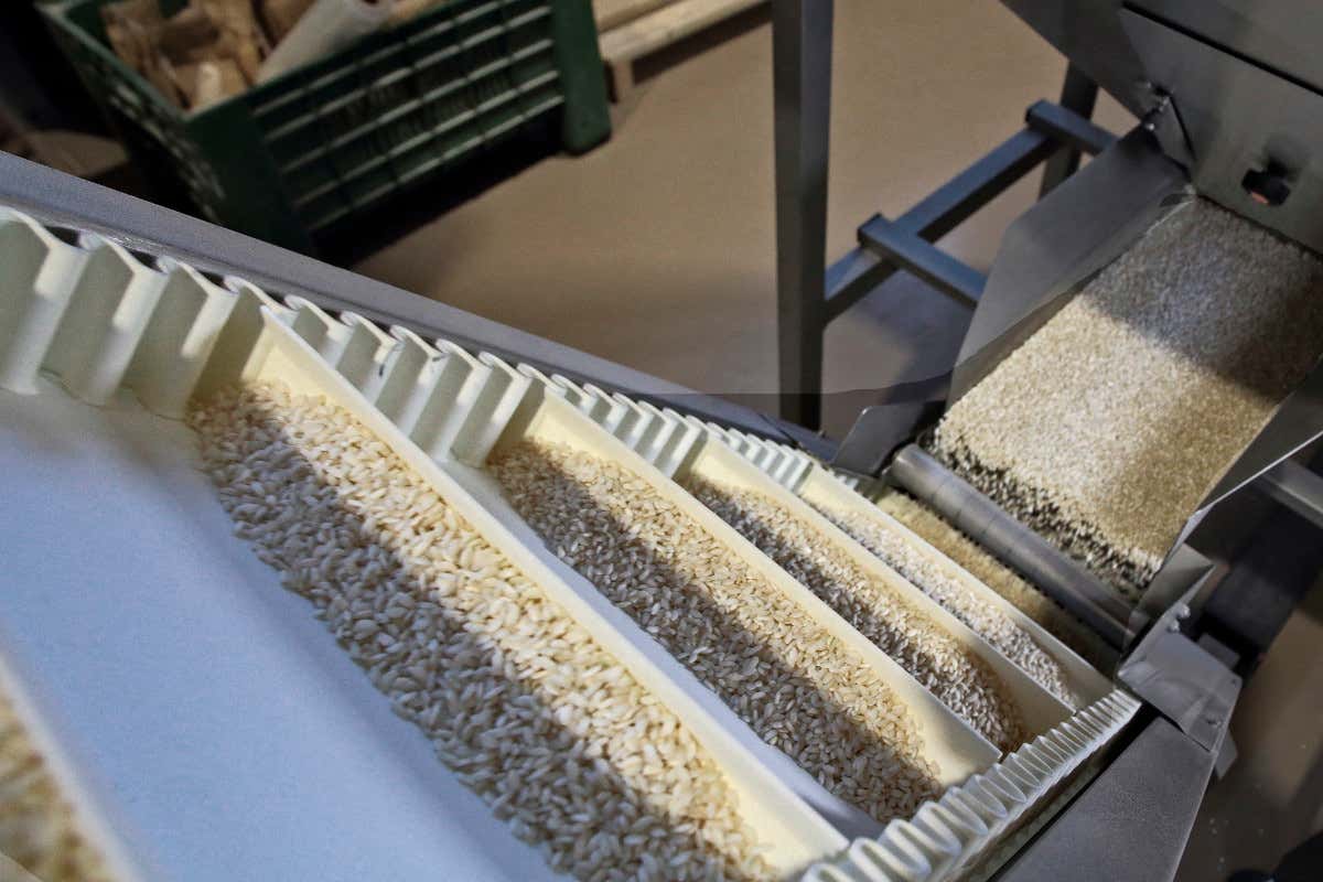 Lomellina Terra di Riso, nasce il marchio che unisce sette aziende