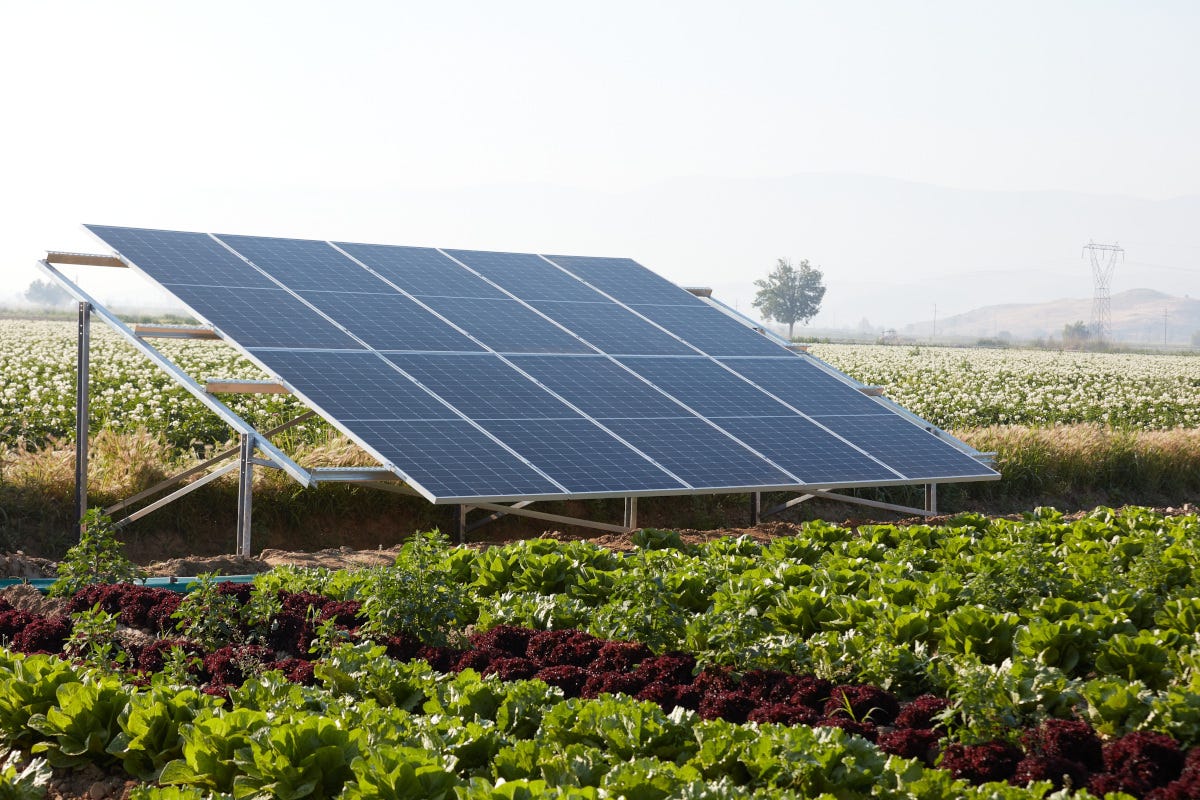 Nuove norme sui Pannelli solari in agricoltura: si del Governo. Ecco cosa cambia