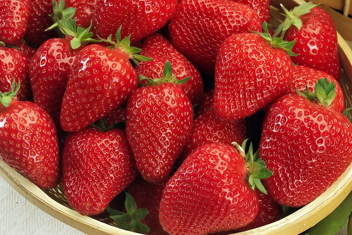 Cosa comprare al mercato? Prezzi convenienti per le fragole