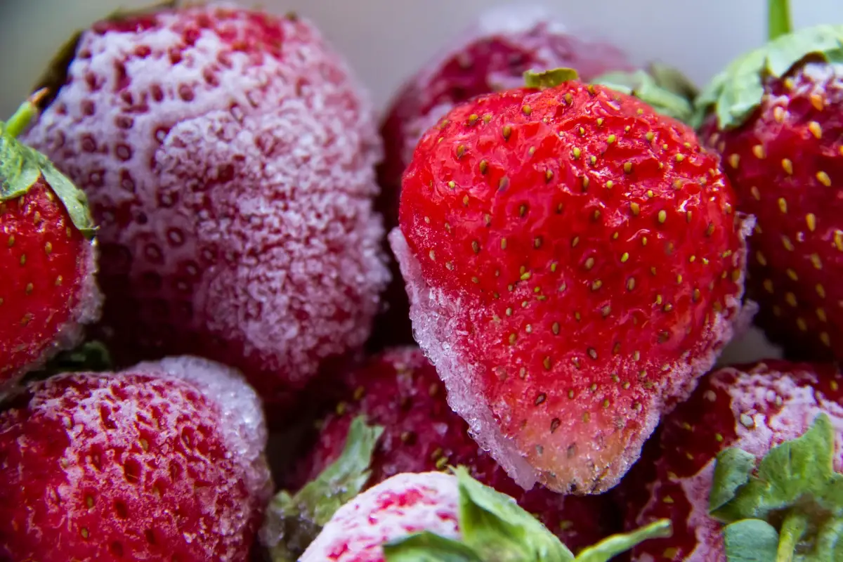 Fragole invernali Fragole invernali, una tendenza salutare che convince i consumatori europei