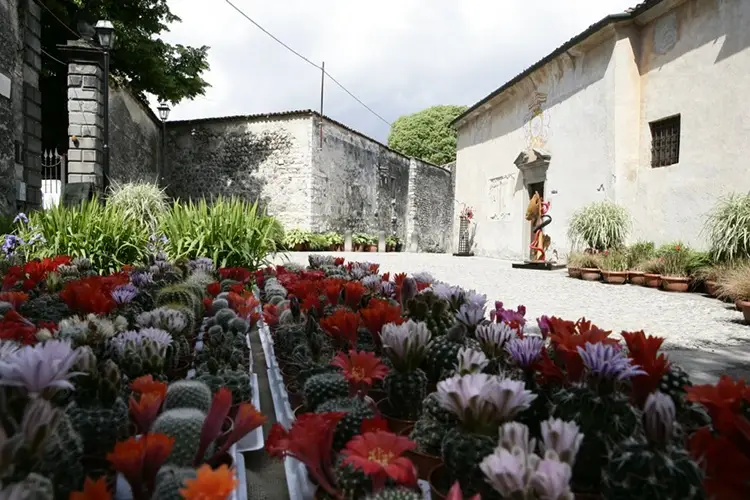 Torna dal 21 maggio al 6 giugno, la 22&ordf; edizione di Franciacorta in Fiore In Franciacorta tra fiori e vini Inno alla ripartenza