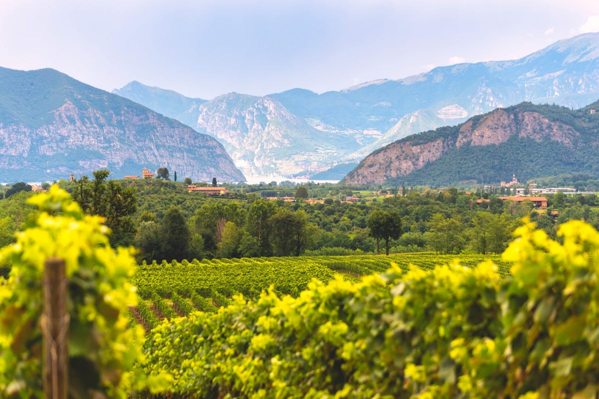 La produzione vinicola della Franciacorta è Doc dal 1967 Tra i borghi di Corte Franca: cultura cucina vino e natura del lago d'Iseo