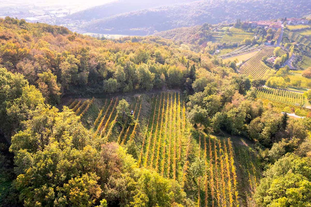 Franciacorta in continua evoluzione: dalla zonazione ai “cru” in etichetta Franciacorta in continua evoluzione: dalla zonazione ai “cru” in etichetta