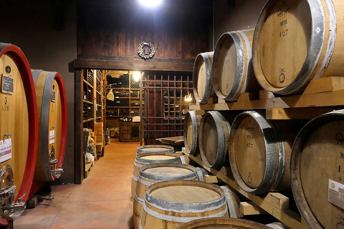 Una cantina, foto di Enrico Caracciolo  Viatoribus Ecco Pizza Hub, la guida digitale del gusto di Franco Pepe