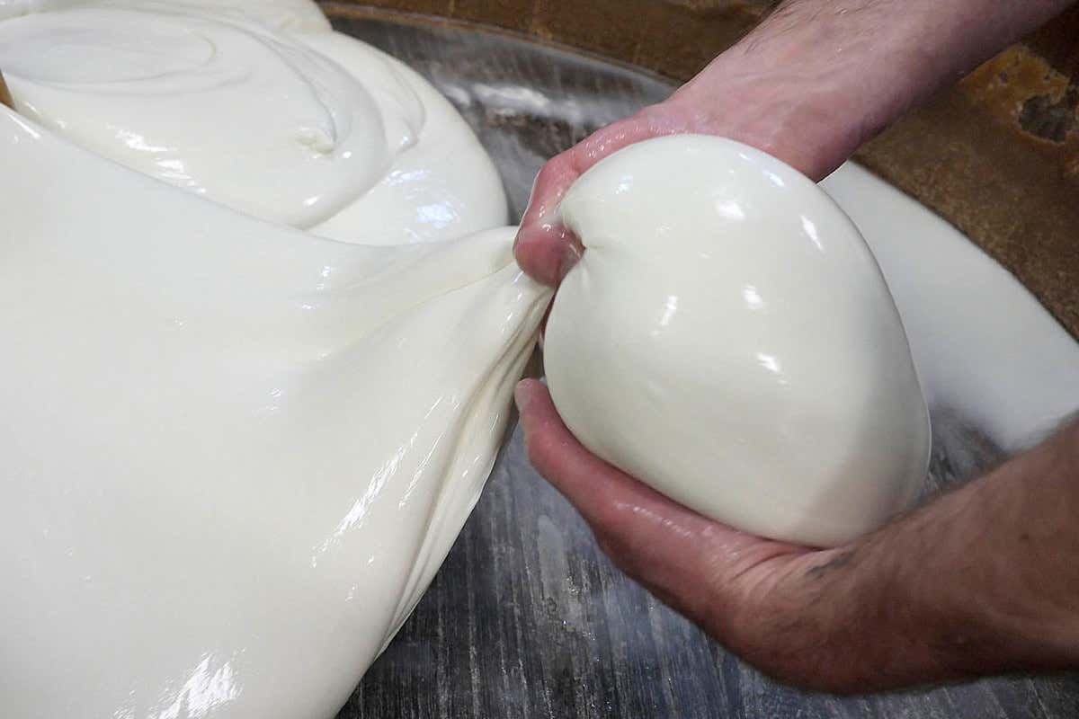 La mozzarella, foto : Enrico Caracciolo, Viatoribus Ecco Pizza Hub, la guida digitale del gusto di Franco Pepe