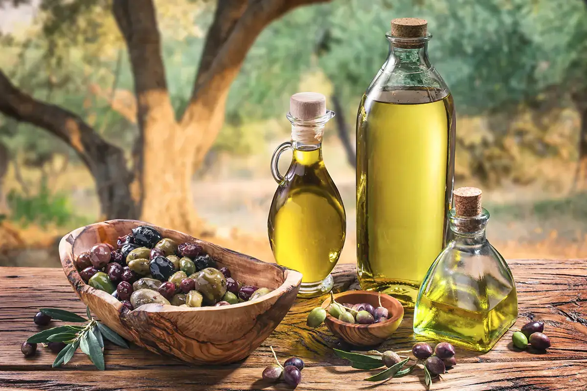 I frantoi del Movimento Turismo dell'Olio aprono le proprie porte a Natale Frantoi aperti per Natale, fra degustazioni e visite agli impianti