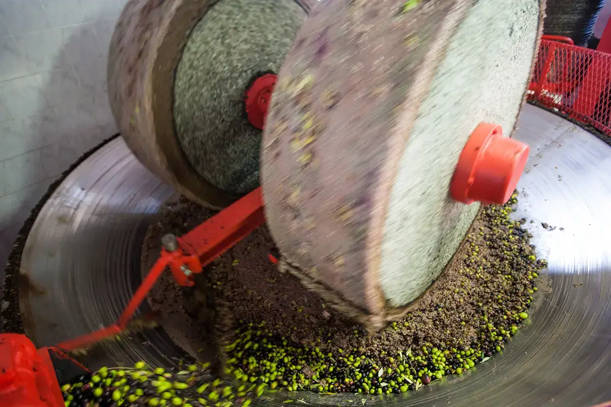 Stop ai falsi miti L'olio &egrave; una cosa seria. Basta con le leggende dei nostri avi