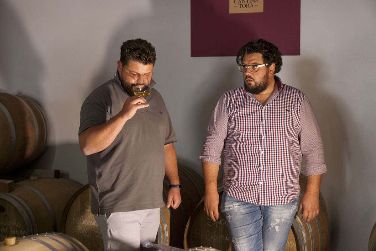 Cantine Tora, grandi vini bianchi da invecchiamento espressione del Sannio Cantine Tora, grandi vini bianchi da invecchiamento espressione del Sannio