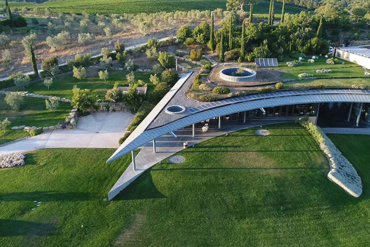 Dal mare alla tavola: 10 anni di Alìe, rosé della Marchesi Frescobaldi Dal mare alla tavola: 10 anni di Alìe, rosé della Marchesi Frescobaldi