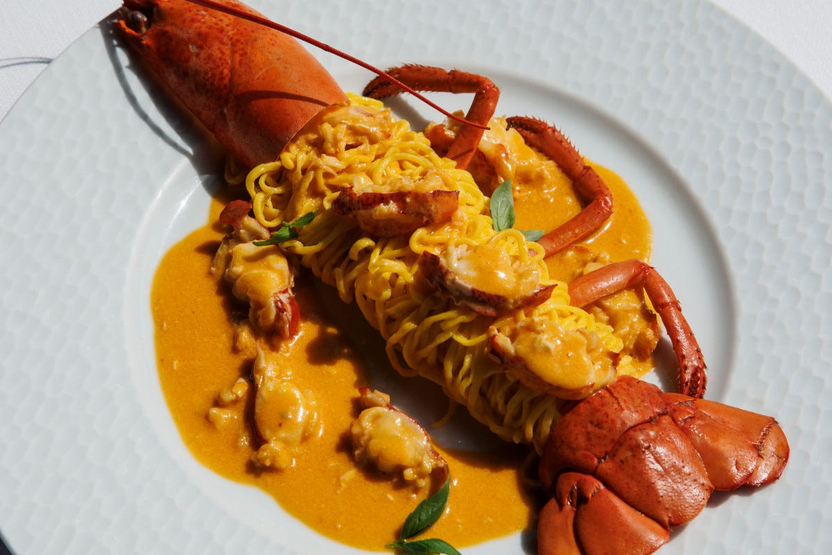 Lobster fricassee with fresh tagliolini and Marco Polo basil, the return of Diego Pani to Ventimiglia