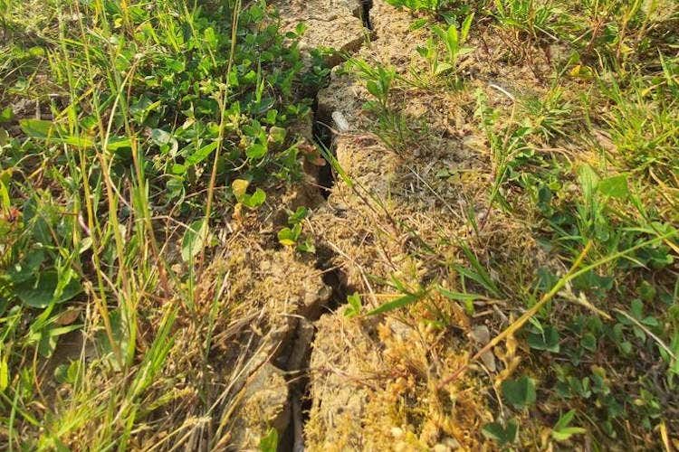 La siccit&agrave; provoca danni al terreno - Doc friulane senza certificazioni Le aziende costrette al fai-da-te
