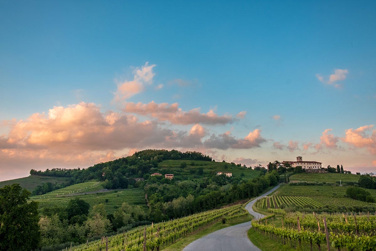Colline friulane Friuli Venezia Giulia enoturistico, fitto calendario per winelover
