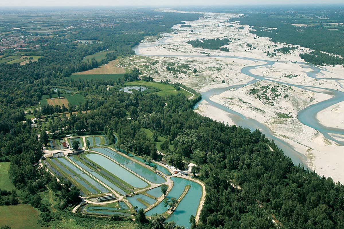 Un territorio florido Il San Daniele ha la sua regina: la trota salmonata